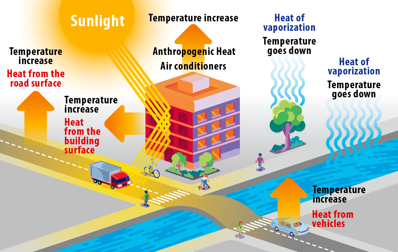What can cities do to survive extreme heat? - Image