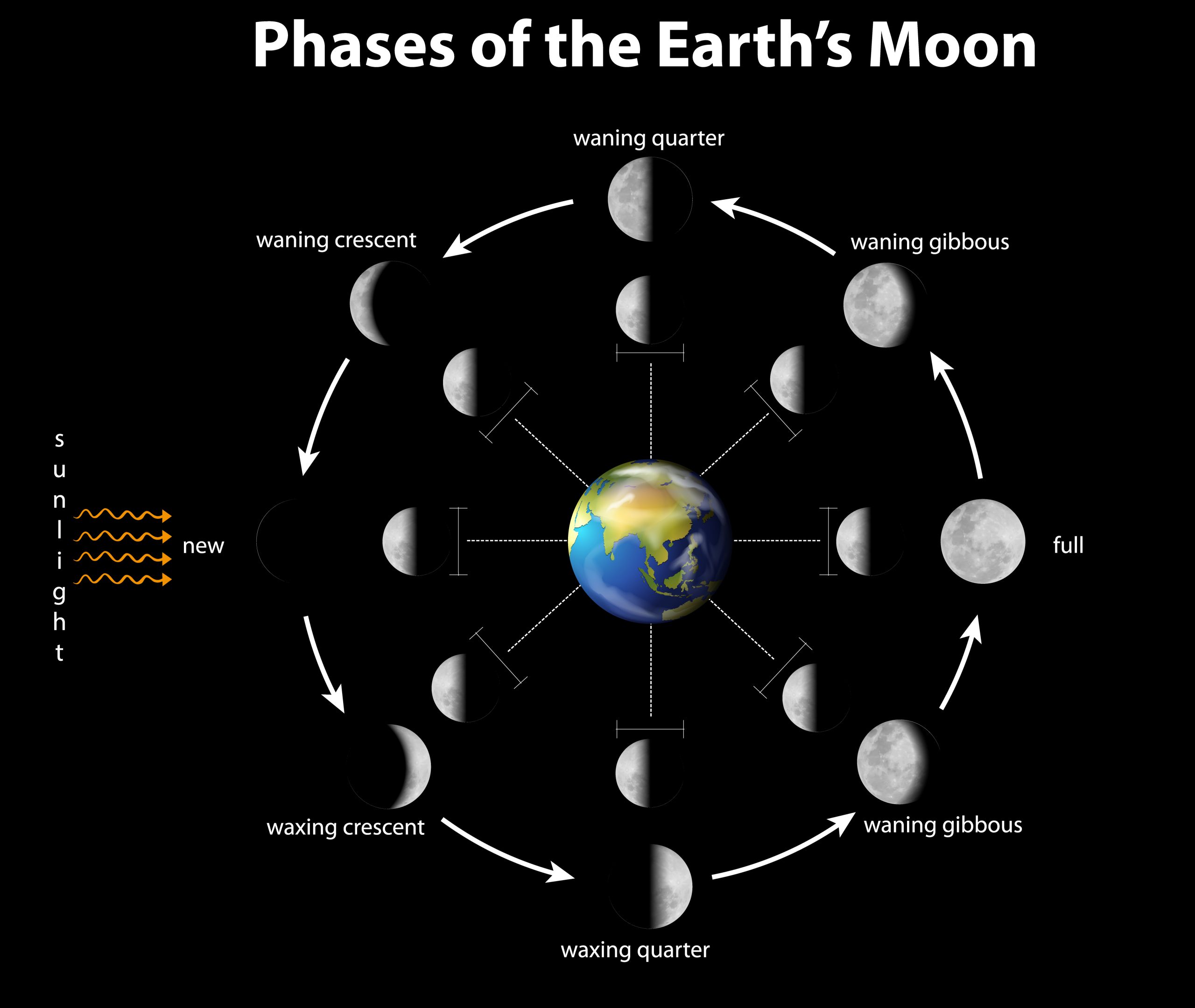 Quelle est la phase de la Lune aujourd’hui ? Phases lunaires 2024 - Image