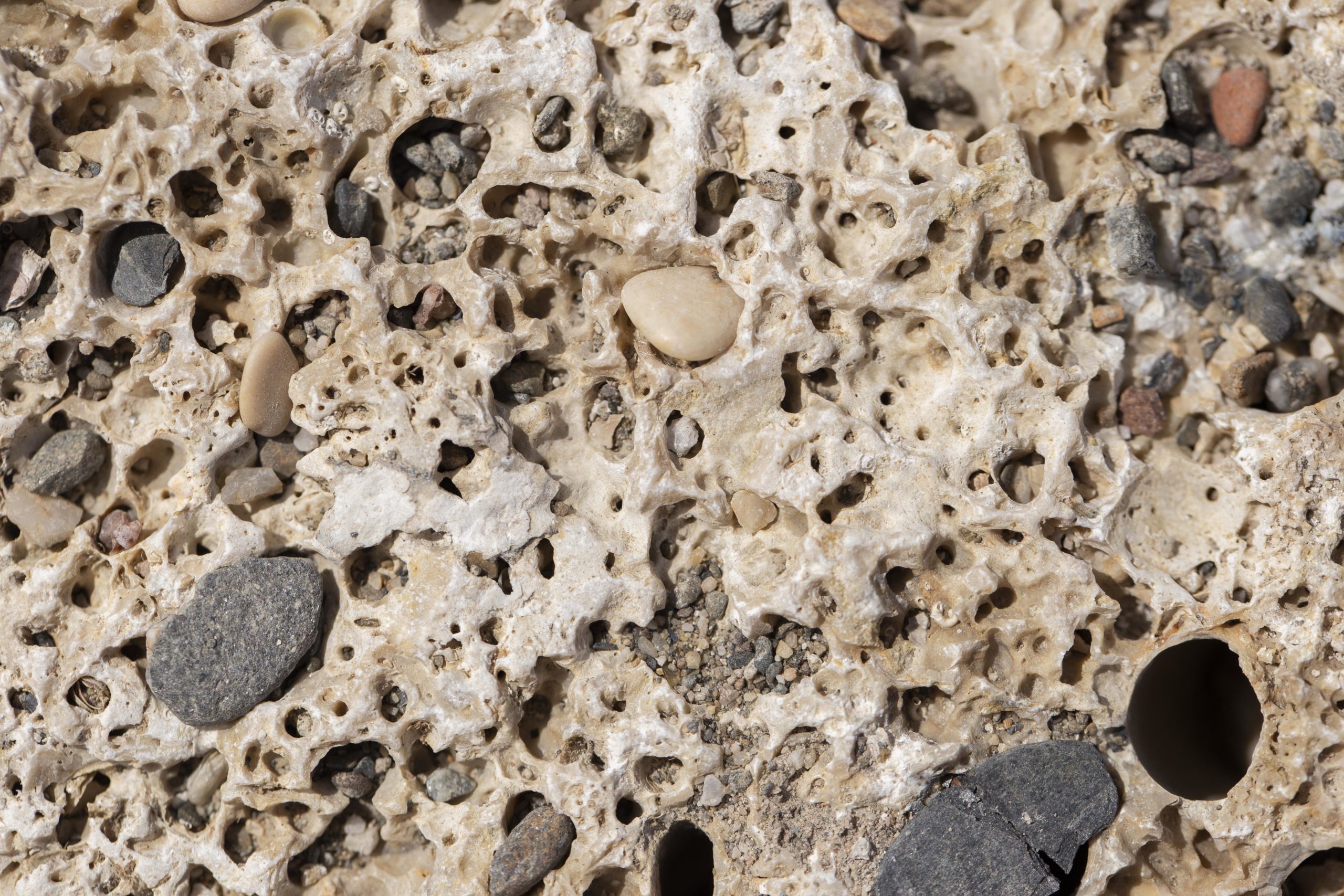 2 billion-year-old rock home to living microbes - Image