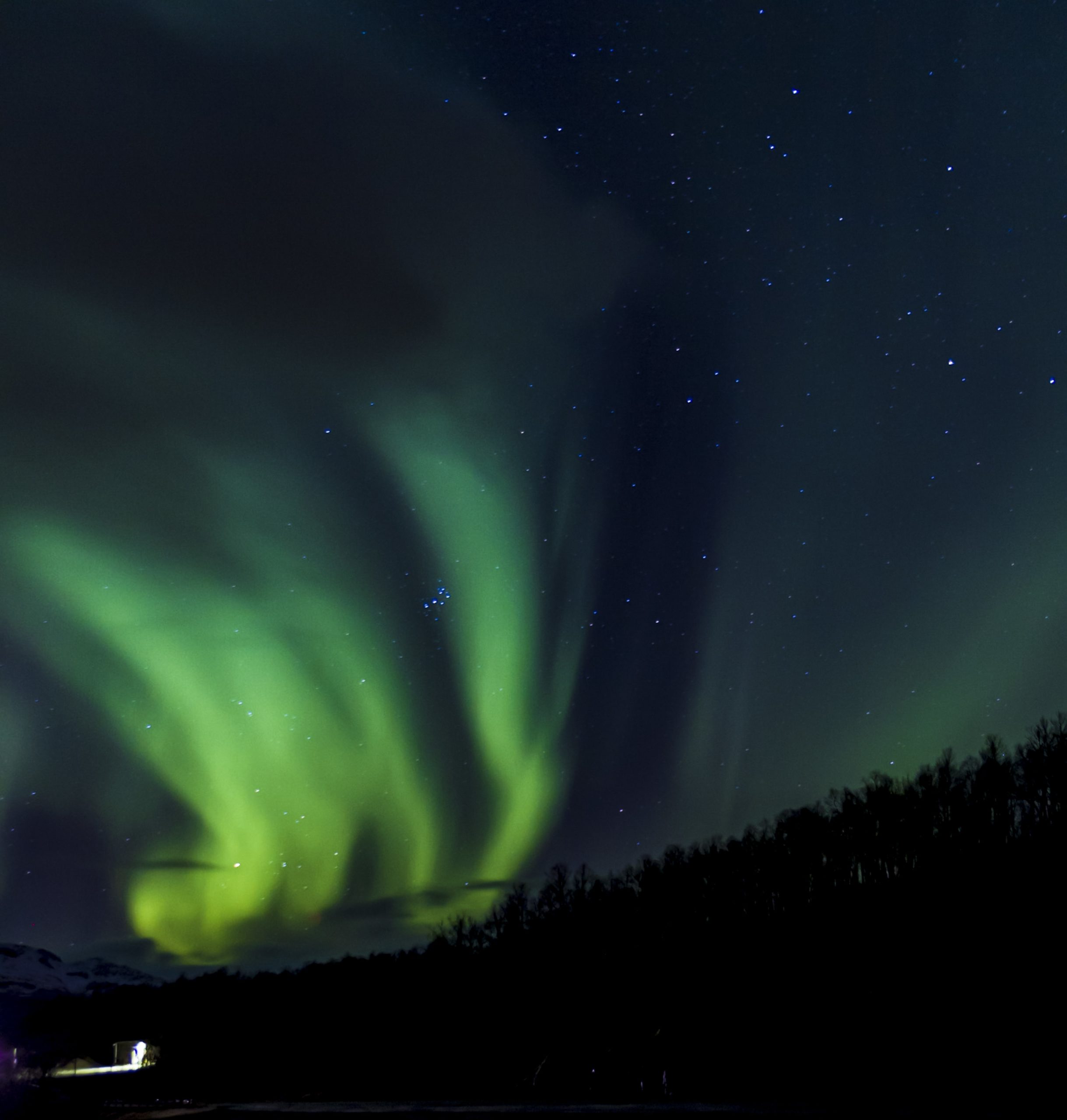 Ghostly White Northern Lights Present New Auroral Mystery  - Image