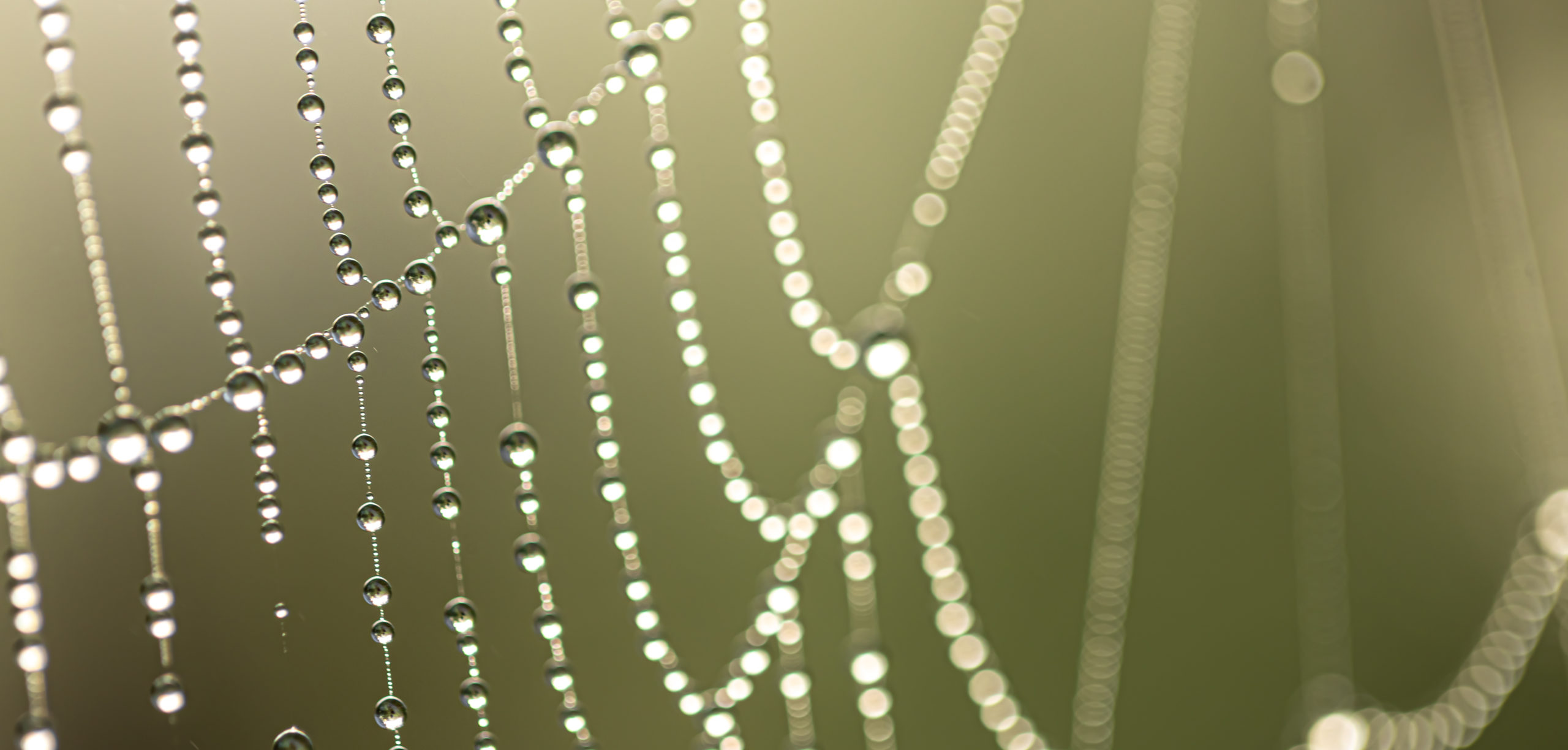 Light-Driven Technique Reverses Supramolecular Chirality  - Image