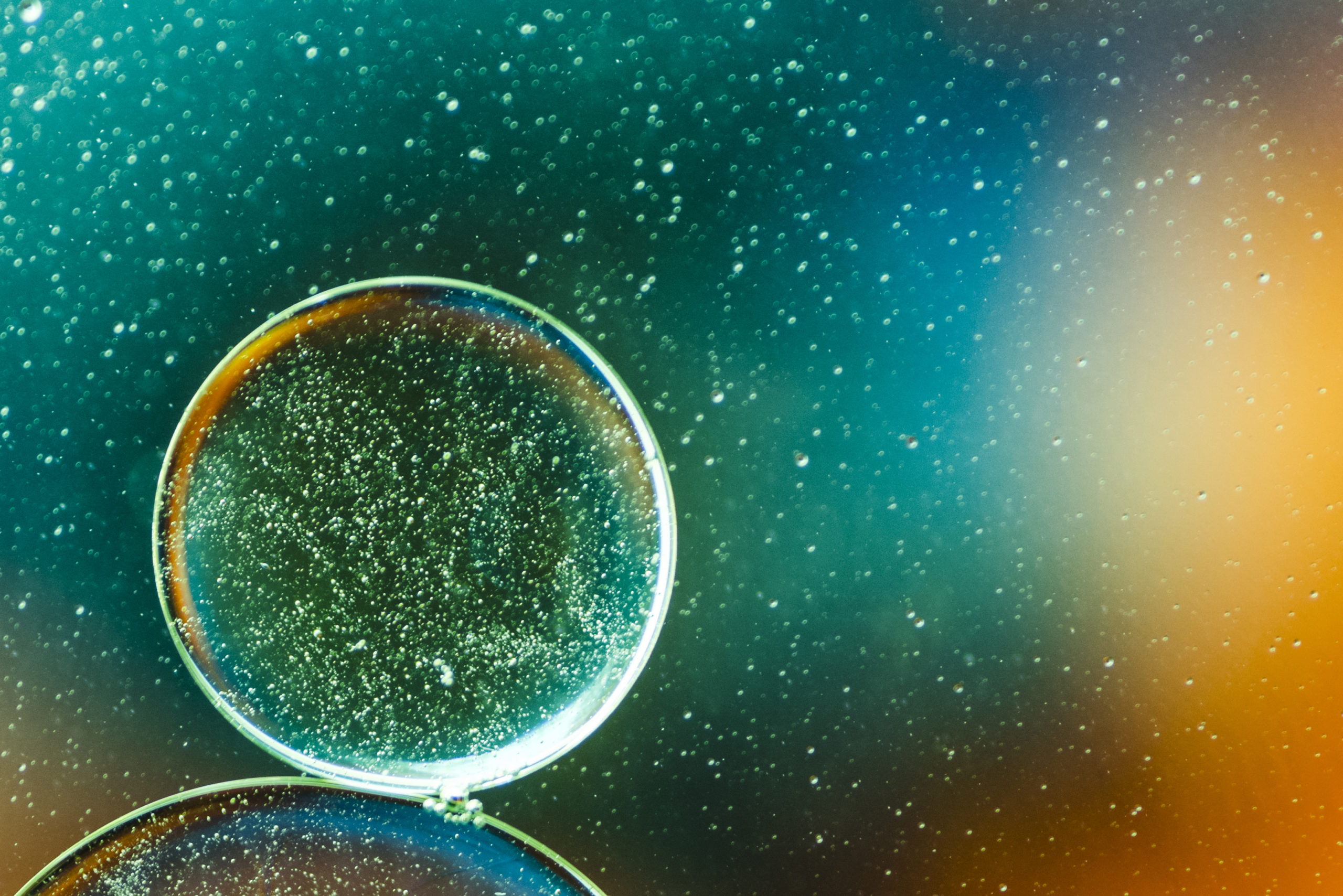 A leap forward in transparent antimicrobial coatings - Image