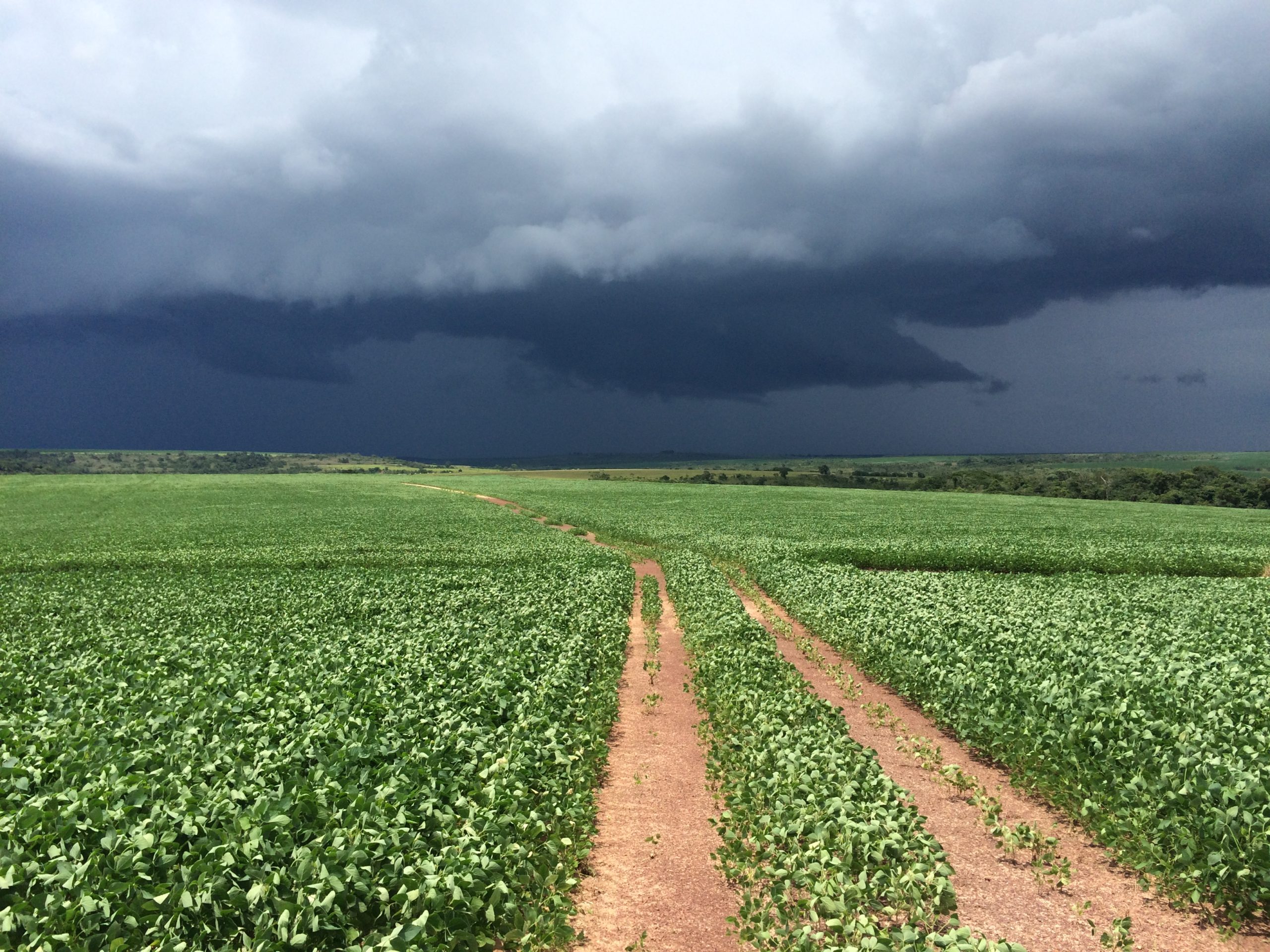 La source secrète de pluie qui pourrait décider de l&rsquo;avenir de l&rsquo;agriculture - Image