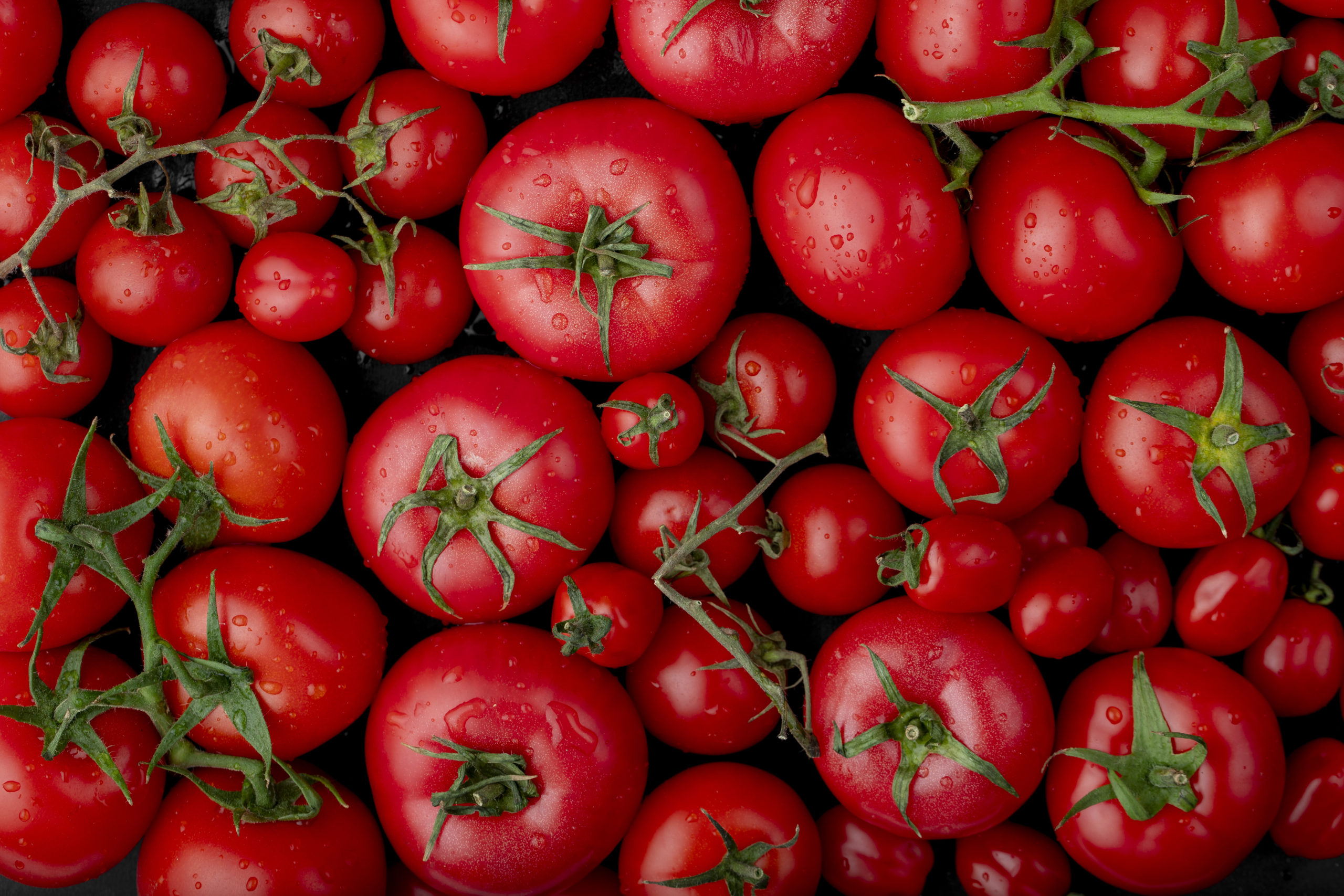 Tomato Nutrient Linked to Lower Risk of Gum Disease - Image